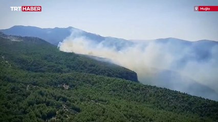 Muğla'da orman yangını çıktı