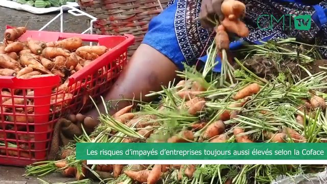 [#Reportage] Gabon: les risques d’impayés d’entreprises toujours aussi élevés selon la Coface