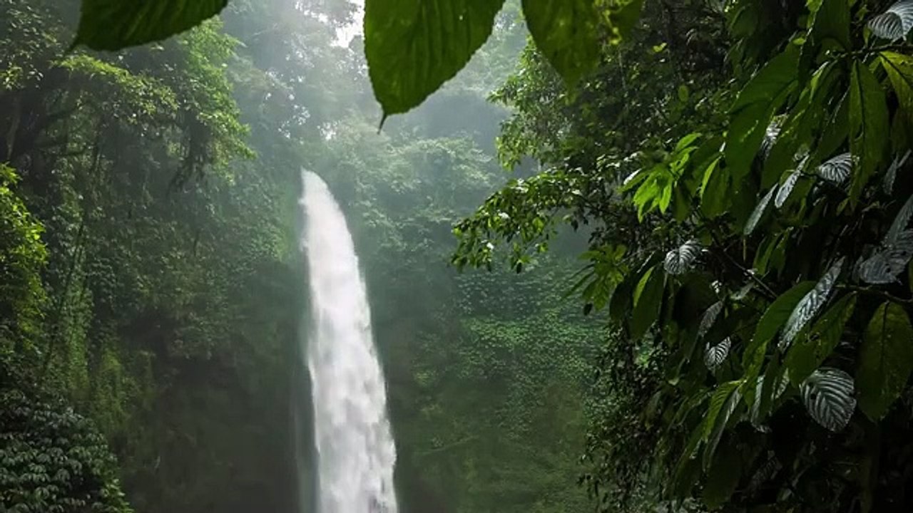 Relaxing Music for Stress Relief_ Calm_ Study _ Beautiful Nature _ Water Sounds(360P)