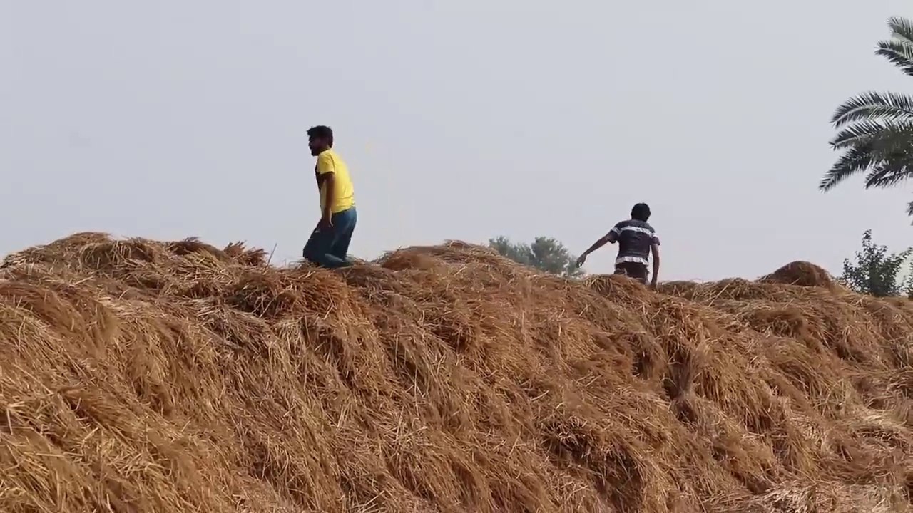 BEST OF Fails BUSHMAN Prank Compilation 2022 - Fainted Reaction Real Funniest Video