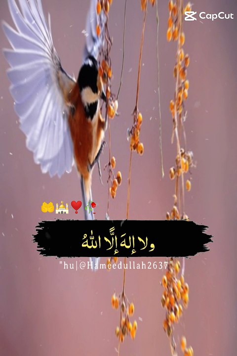 Dua