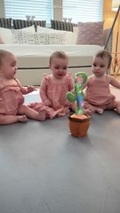 Triplets Cry At Talking Cactus Toy