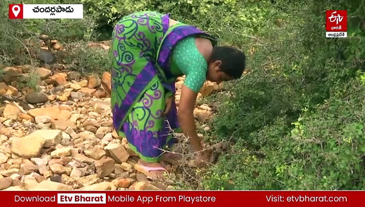 వజ్రం కావాలా నాయనా?