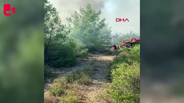 Muğla'nın Milas ilçesinde orman yangını çıktı