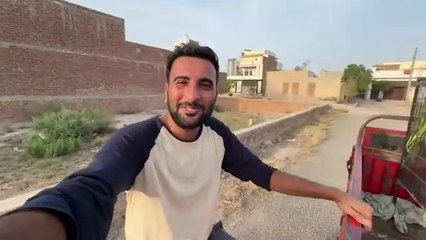 Aj Bht Sary Green Parrots Mini Zoo Main Le Aiy