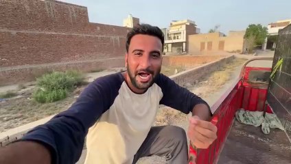 Aj Bht Sary Green Parrots Mini Zoo Main Le Aiy