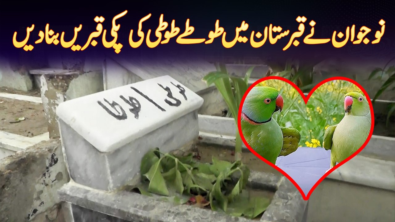 Parrots Mar Gaye Tu Naujawan Ne Qabristan Mein Parrots Ki Paki Qabrain Banwa Di