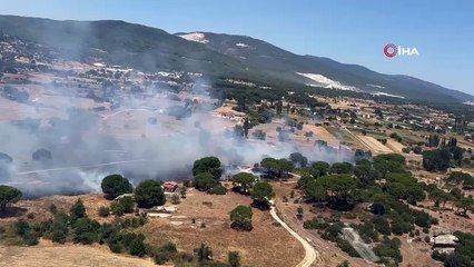 Milas’ta bir yangın daha!