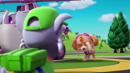 Skye_s Surprise Helicopter Makeover (Chopper Paint Job) - Rocky_s Garage - PAW Patrol Cartoons