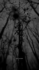 Agar Tum Sath ho song