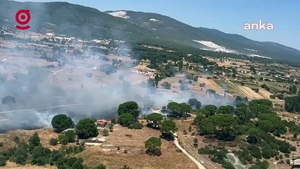 Muğla Milas’ta bir yangın daha çıktı