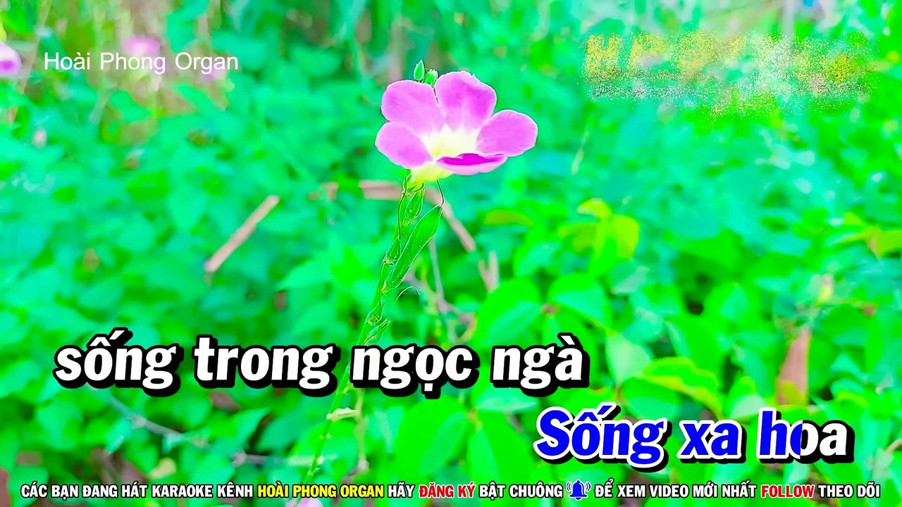 Karaoke Quán Trọ Trần Gian Tone Nam (Cm) Âm Thanh Đẳng Cấp - Hoài Phong Organ