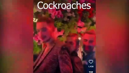 Alex Bhatti Is Back With Creatures !!!