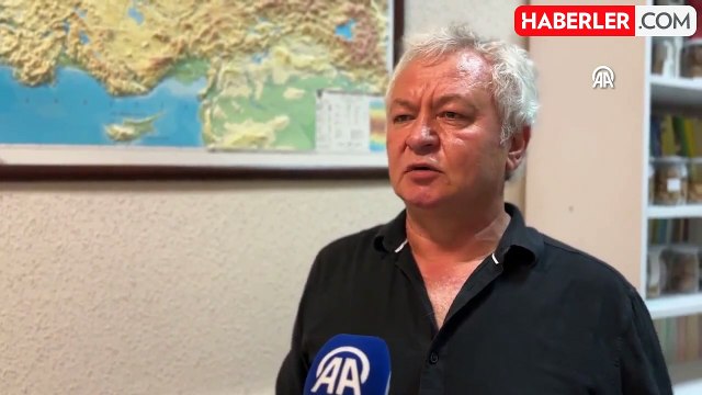 Batı Karadeniz'de Kuraklık ve Yağış Düzensizliği Bitkileri Etkiliyor