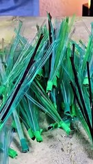 @islamic peer ajmal raza qadri videos