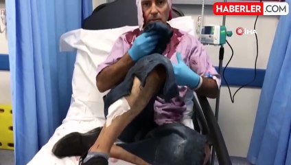 Vatandaşı parçalayan Kangal köpeğinin sahibi gözaltına alındı