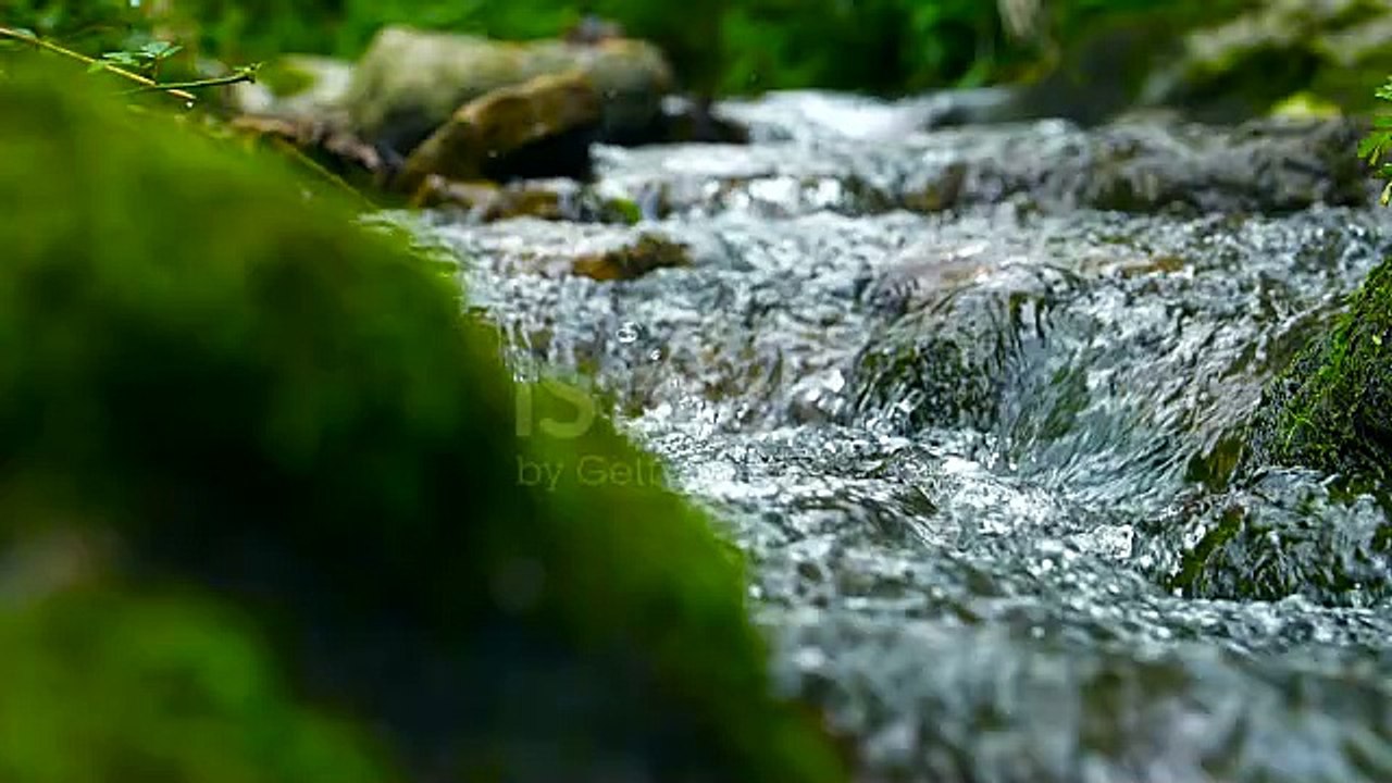 Beautiful water view