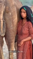 camels milk #traditional #villagelife #cute girl #pakistan