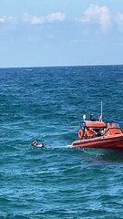 Denizde can pazarı!