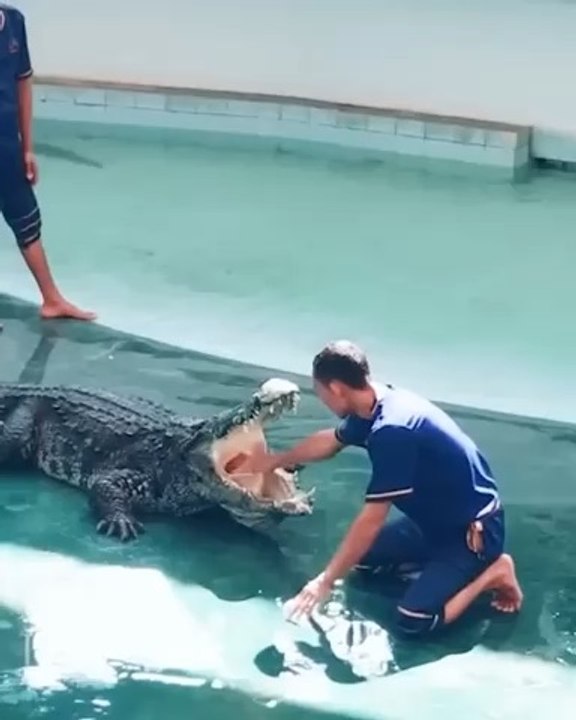 Summer prank hit the spot