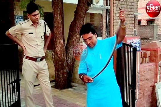 Snake Bite : मंदिर मेें साधु को तो युवक को खेत में सांप ने काटा, पुलिस अ​धिकारी के घर आया कोबरा तो मचा हड़कंप