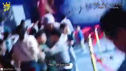 "Funny Animals | Funny Animals Act | Hilarious Animal Moments"