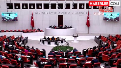 İYİ Parti Milletvekili Kavuncu, sokak hayvanları kanun teklifi hakkında konuştu