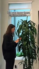Did you know these English words？