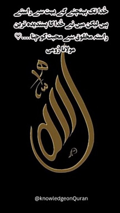Molana romi quotes