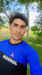 Trending Short Videos 🎥