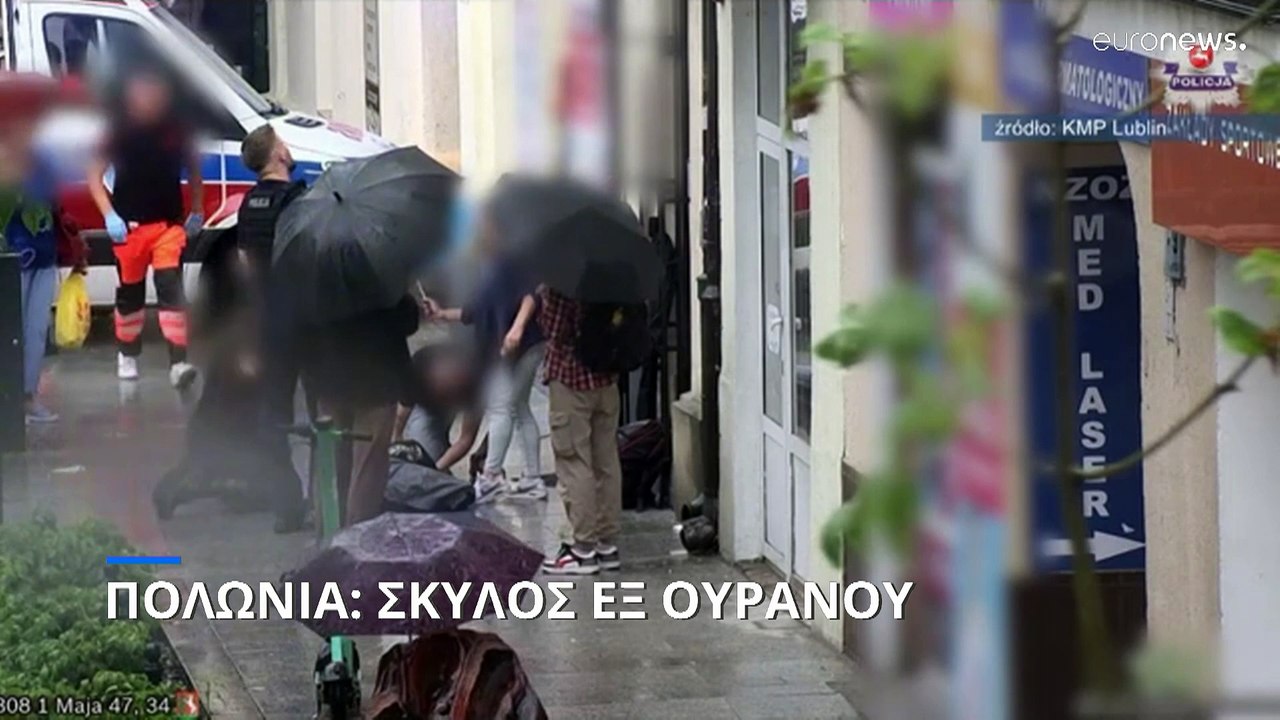 Πολωνία: Σκύλος εξ ουρανού