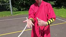 9 Section Whip Basic Exercise - He Yong Gan Martial Arts