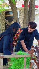 Gunghat mn hr kali the