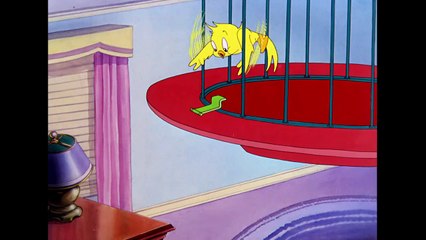 Tom & Jerry in italiano - U-u-u-uccellino!