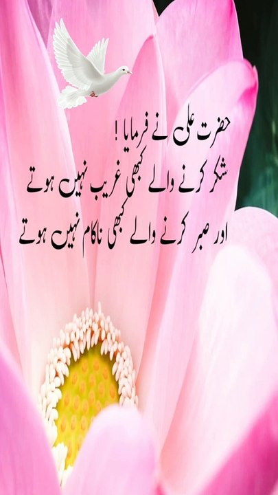 Hazrat Ali ke aqwal