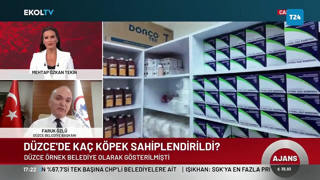 Düzce Belediye Başkanı Faruk Özlü: Sokak Hayvanları Yasasının uygunlanması mümkün değil