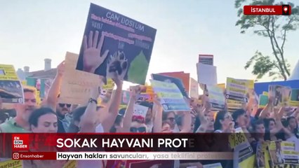Hayvan hakları savuncuları, yasa teklifini protesto etmek için toplandı