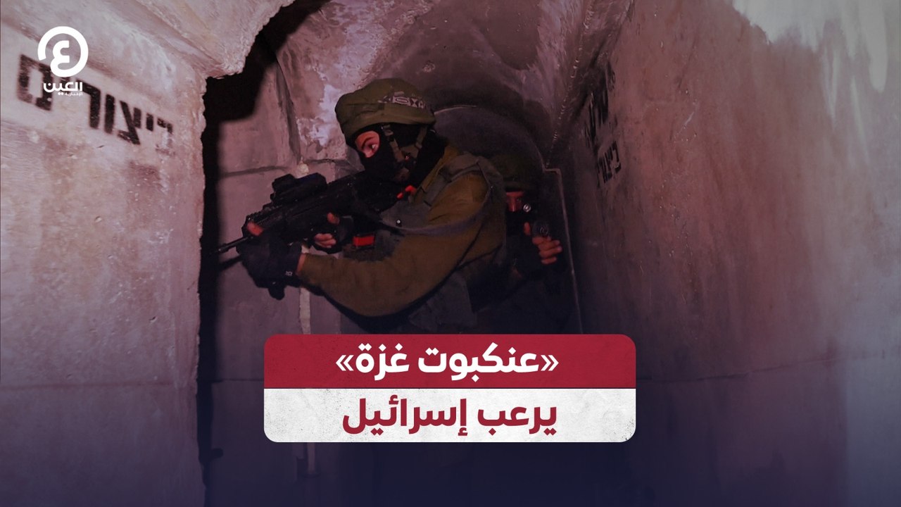 «عنكبوت غزة» يرعب إسرائيل