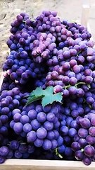 Ai Short Video #Funny #Shorts #Reels