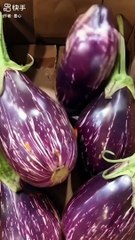 Ai Short Video #Funny #Shorts #Reels