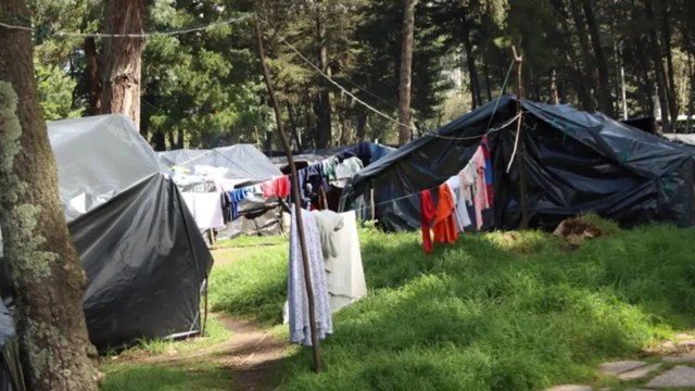Grave denuncia: indígenas emberá habrían sometido a habitante de calle a cruel castigo