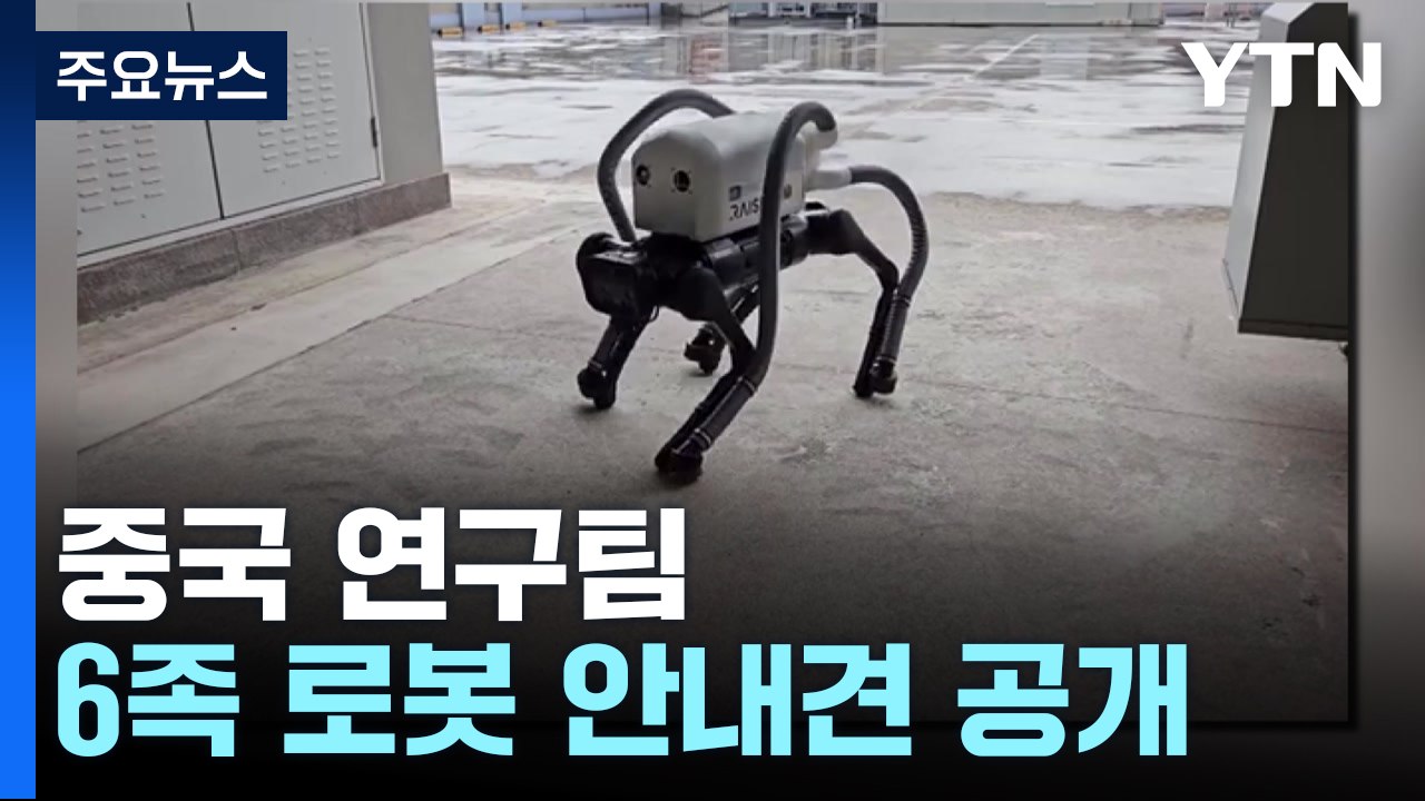 담배꽁초 줍고 안내견 노릇까지...'로봇 개' 상용화 성큼 / YTN