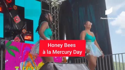 [MARTINIQUE] Honey Bees à la Mercury Beach