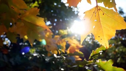 The Great Outdoors: Breathtaking Landscapes in HD 369