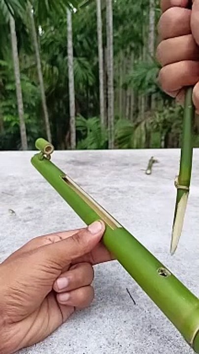 Amazing making bamboo gun