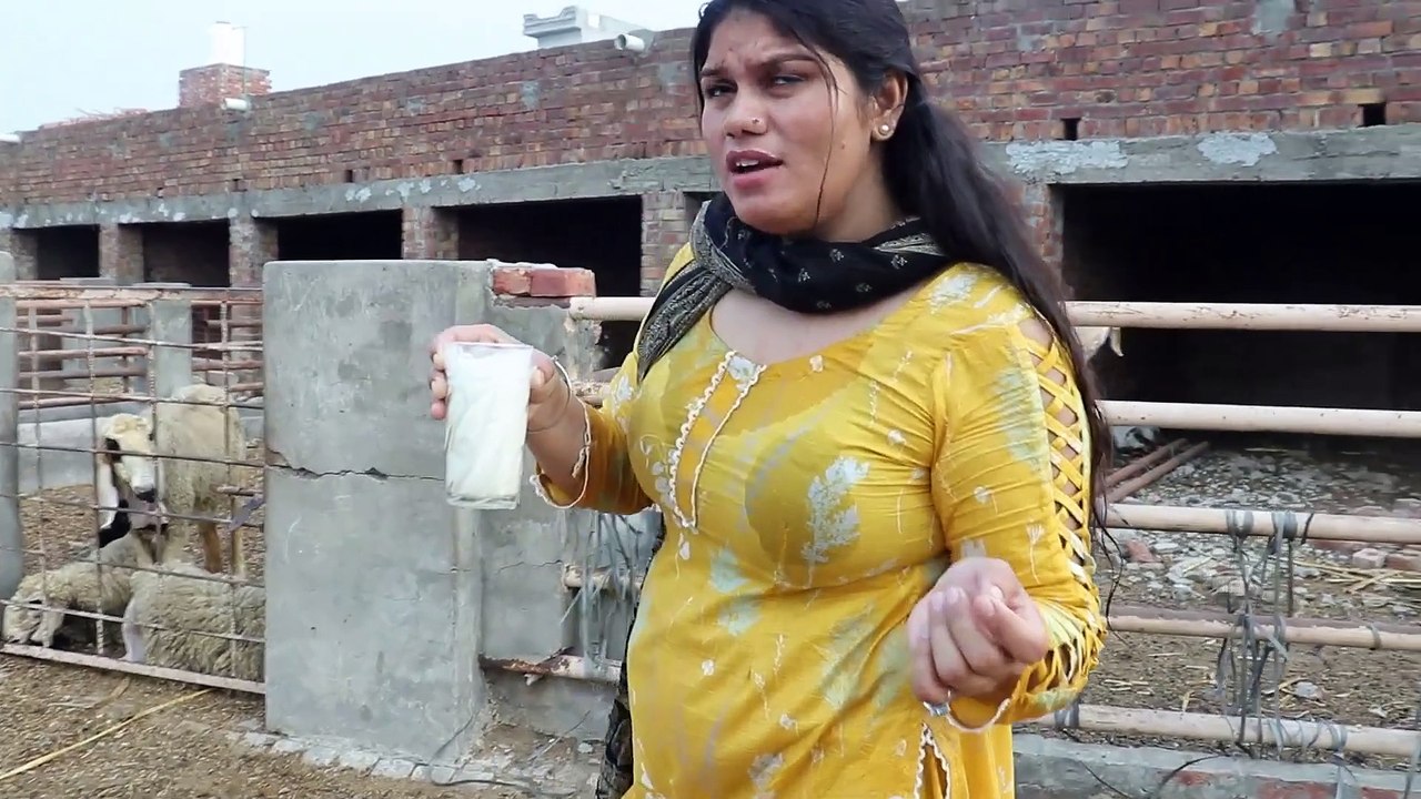 Drinking Goat Milk  Pakistan Beautiful Village Life  Old Culture Of Punjab  Stunning