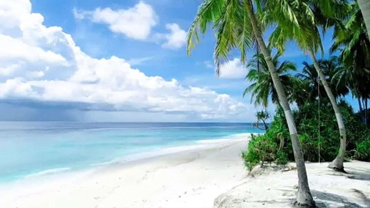 Relaxation video Top viral 2024