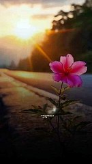 Us sy kehna hum bethy hain