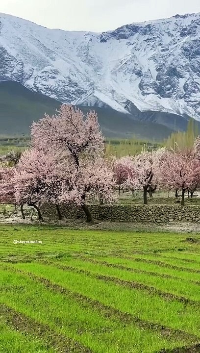 Sakrdu velly travling Irfan Musafir#instrumental #nature #travling#worldvissit#pakistan#ajktourism#Nealumvelly #Muzafrabad #travel #irfanMusafir #worldvissit #abshar