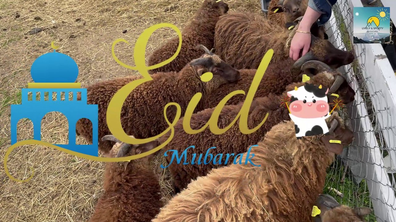 Eid in Norway | Eid-ul-Adha in Norway | Norwegian muslims | Norway Eid #4k #eid